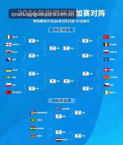 世界杯观赛遇冷：签证困局下的球迷困境与赛事变局解析