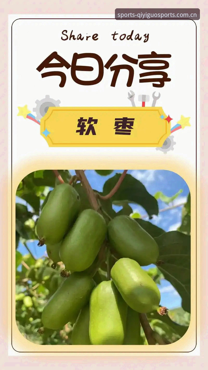 奇异果体育评价全面解析：技术视角下的手机体育直播与竞猜平台深度分析